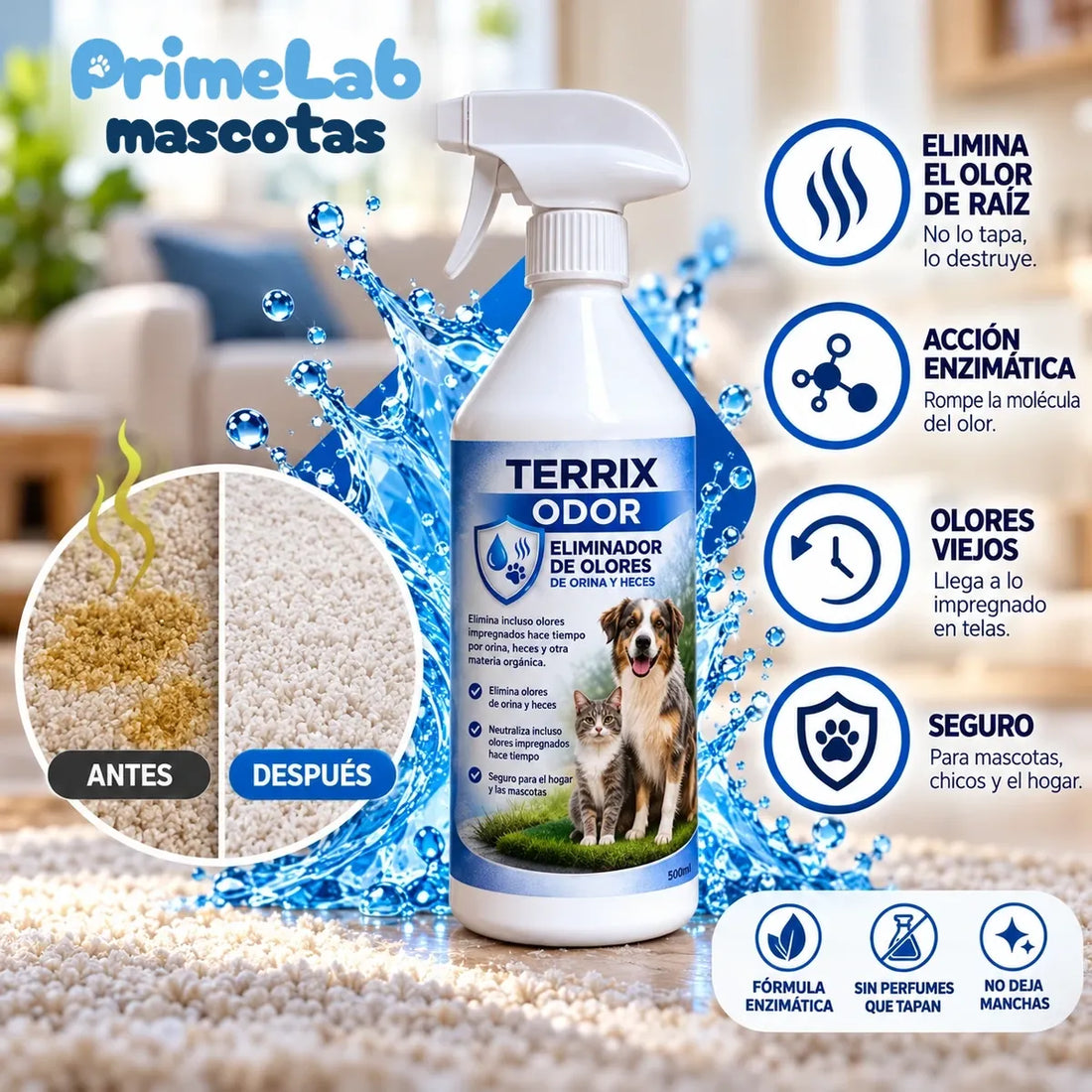 gal odor 1