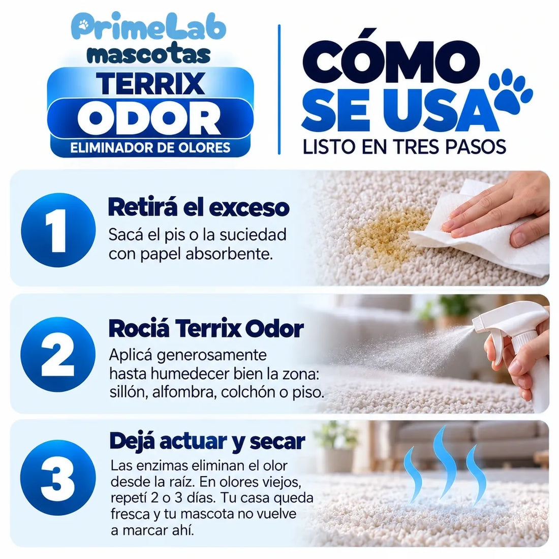 gal odor 4